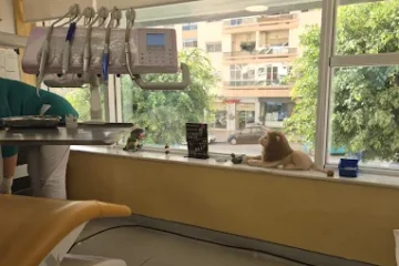 Centre dentaire Dentilaz